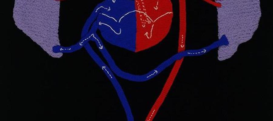 a Knitted Circulatory system
