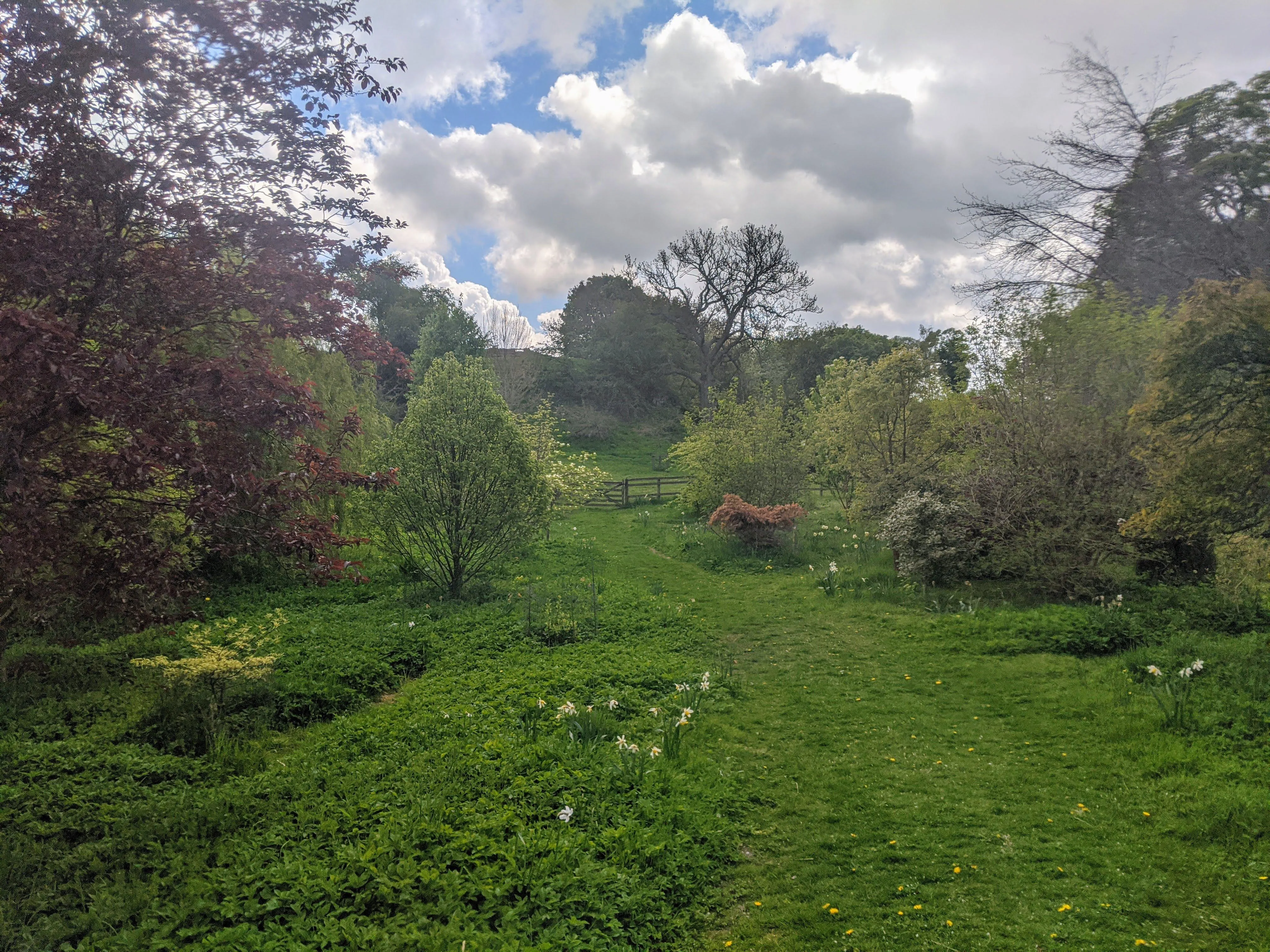 Photograph of Hill from Moreham Church. In the foreground is grass with trees surrounding it, half way up the photograph is a wooden fence and gate. Beyond the fence is more grass.