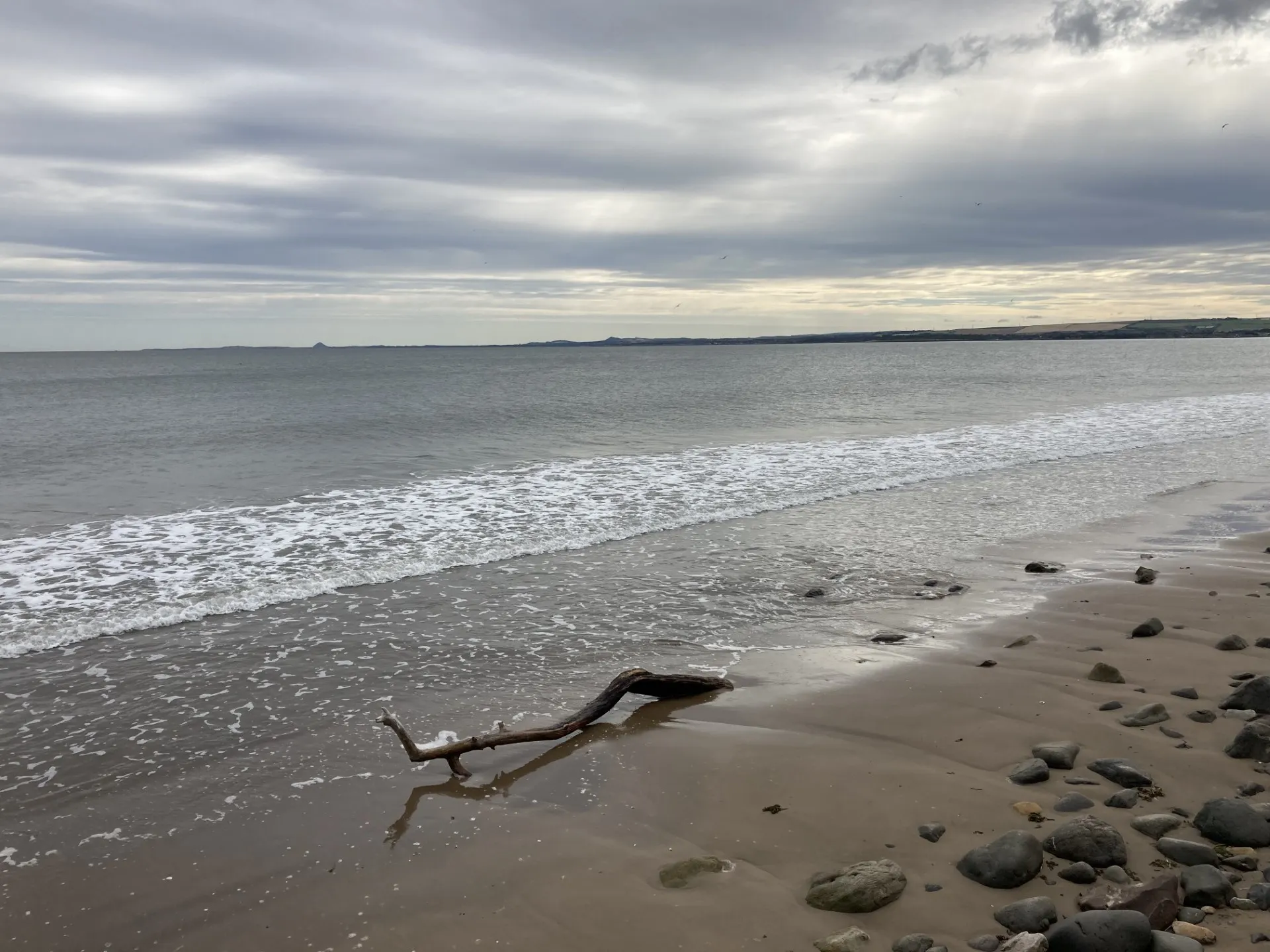 a Scottish beach with a bit of large driftwood in the sand