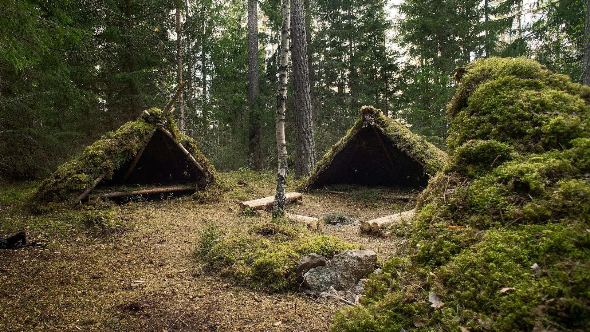 a campsite of small huts built from wood and moss