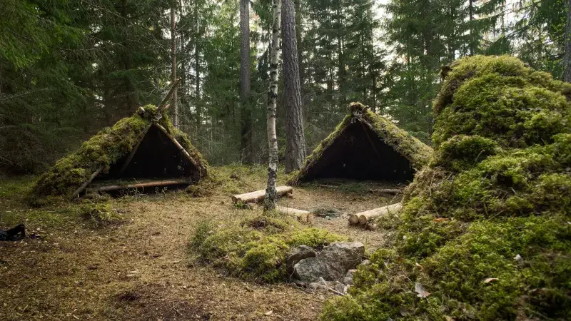 a campsite of small huts built from wood and moss