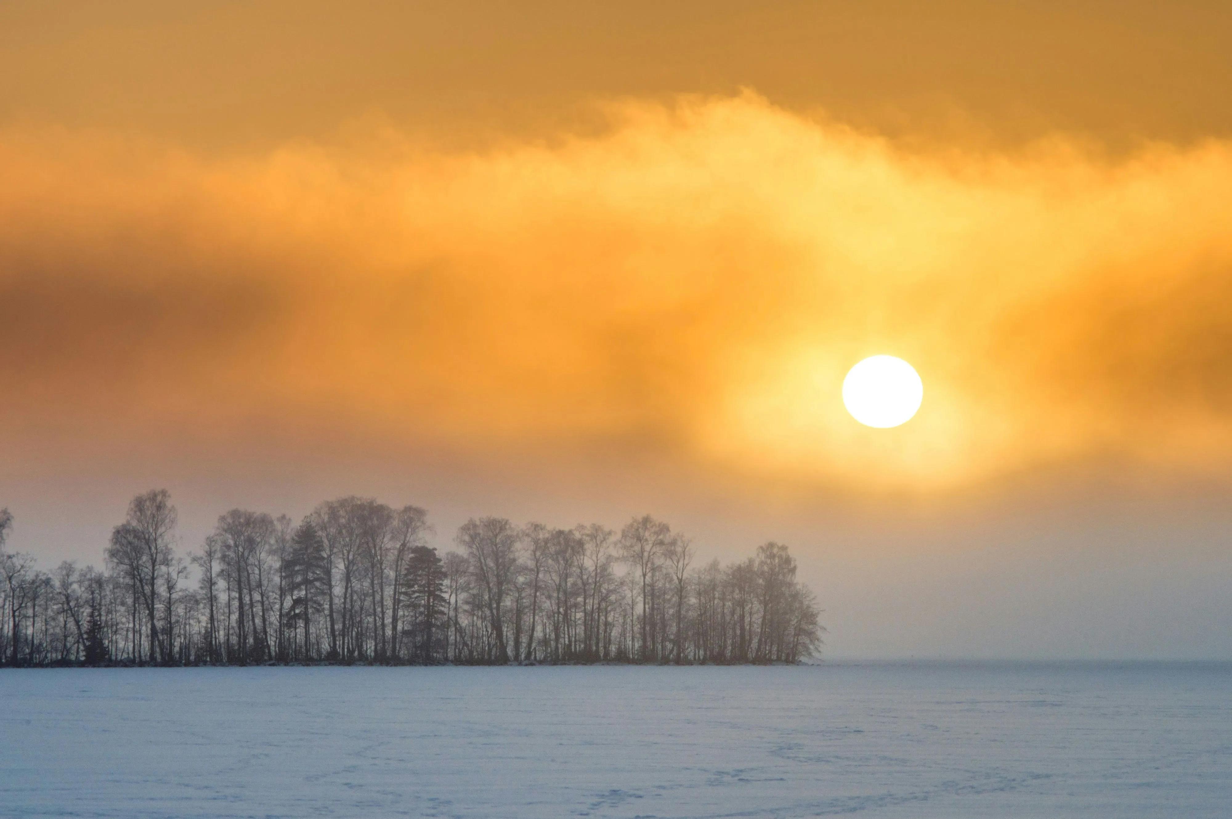 a low sun shining on a frosted field