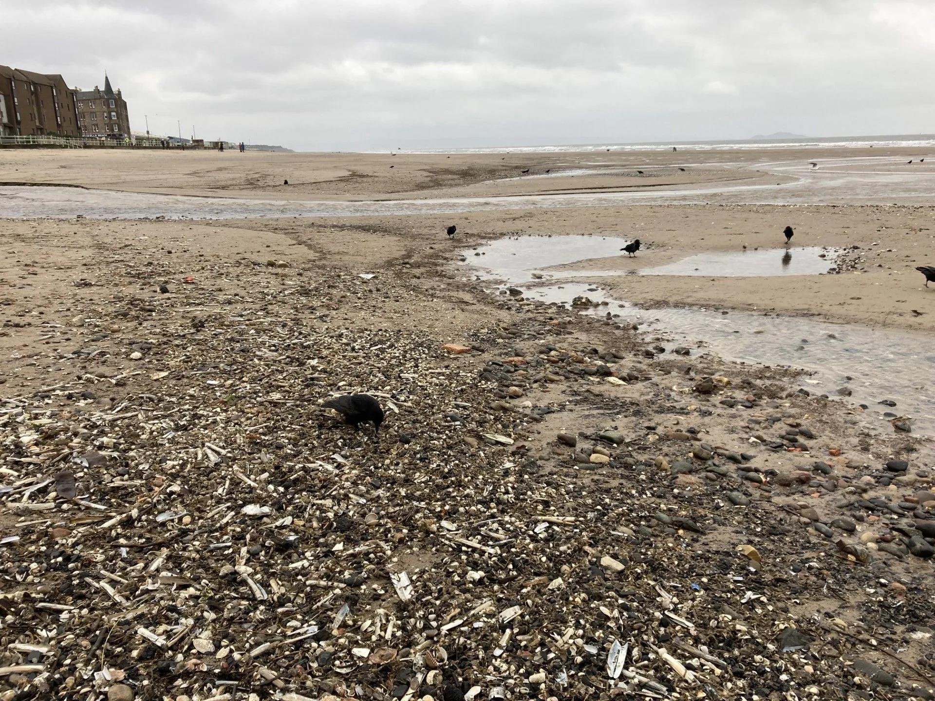 Portobello Beach