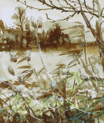 reeds growing on a riverbank