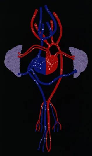 a Knitted Circulatory system