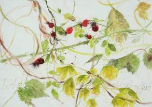 a painting of hops and dog rose plants