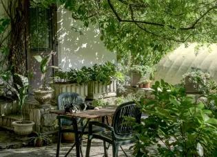 Garden scene with brown wooden table and chairs. A cat lies on the table. 
