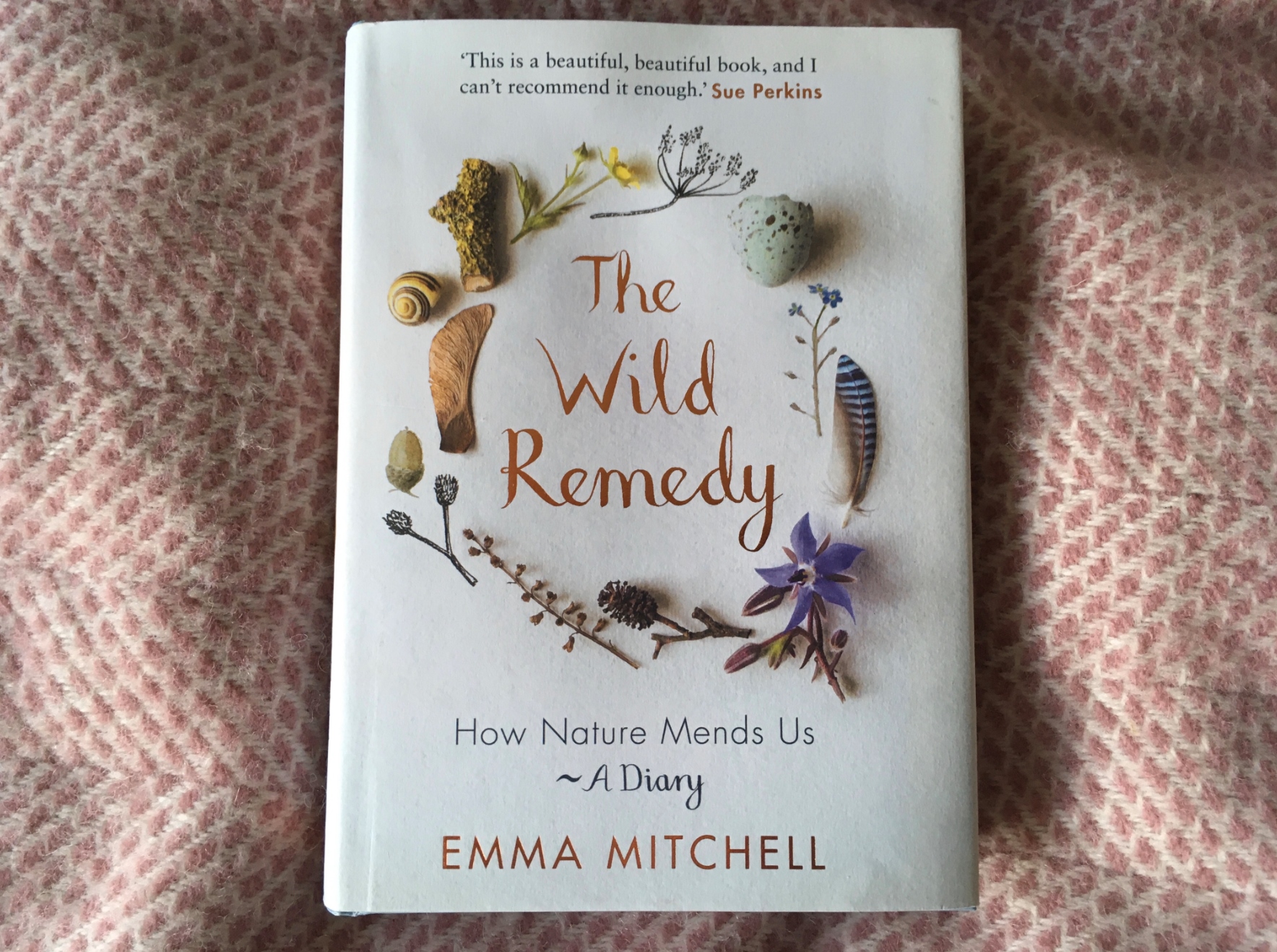 A Wild Remedy | Chaplaincy