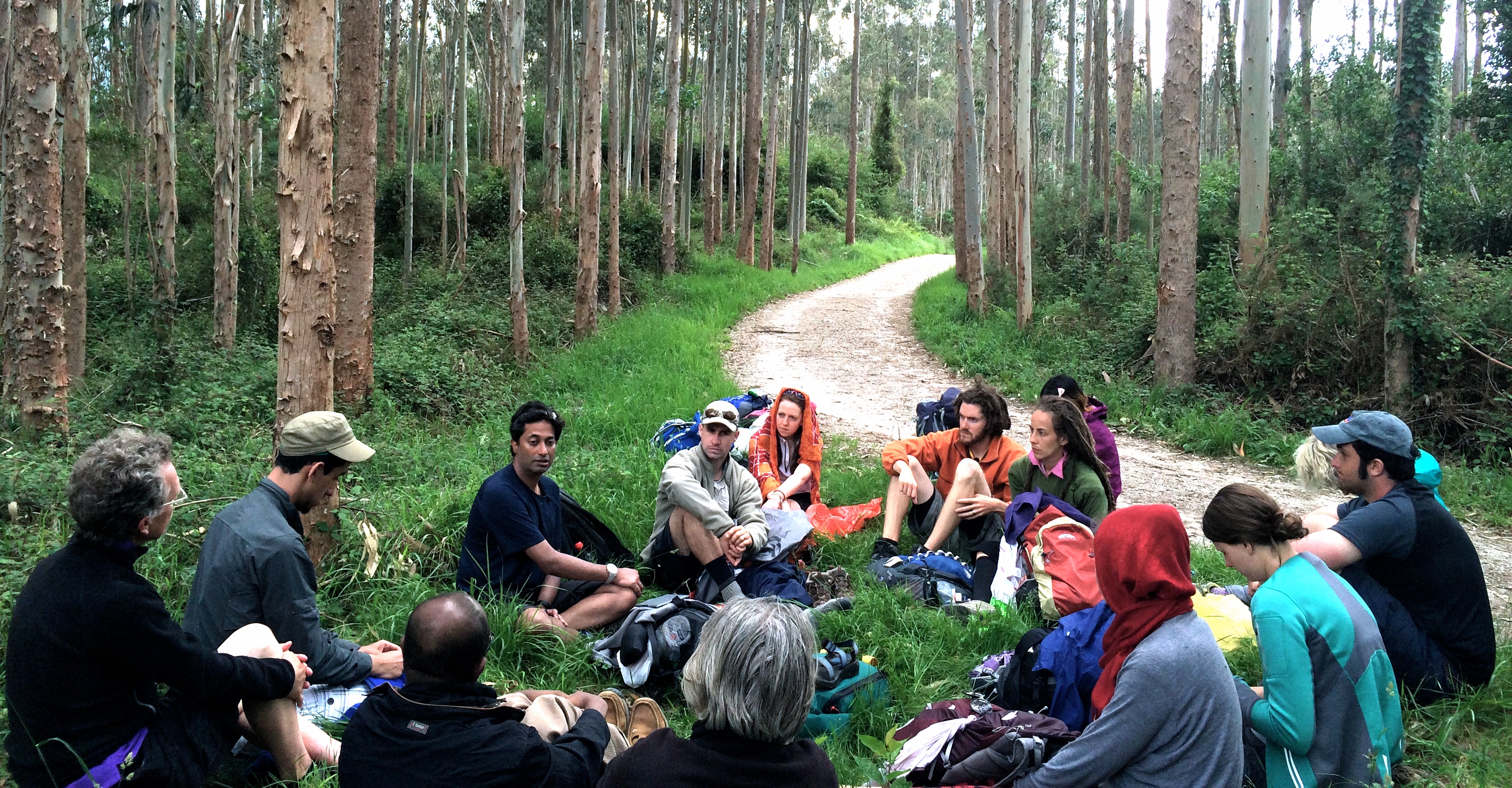 Photograph of students sitting together on the ground in a forest on a Camino pilgrimage