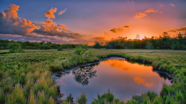 Photograph of a sunset over a field, with a small body of water in the middle reflecting the light. 