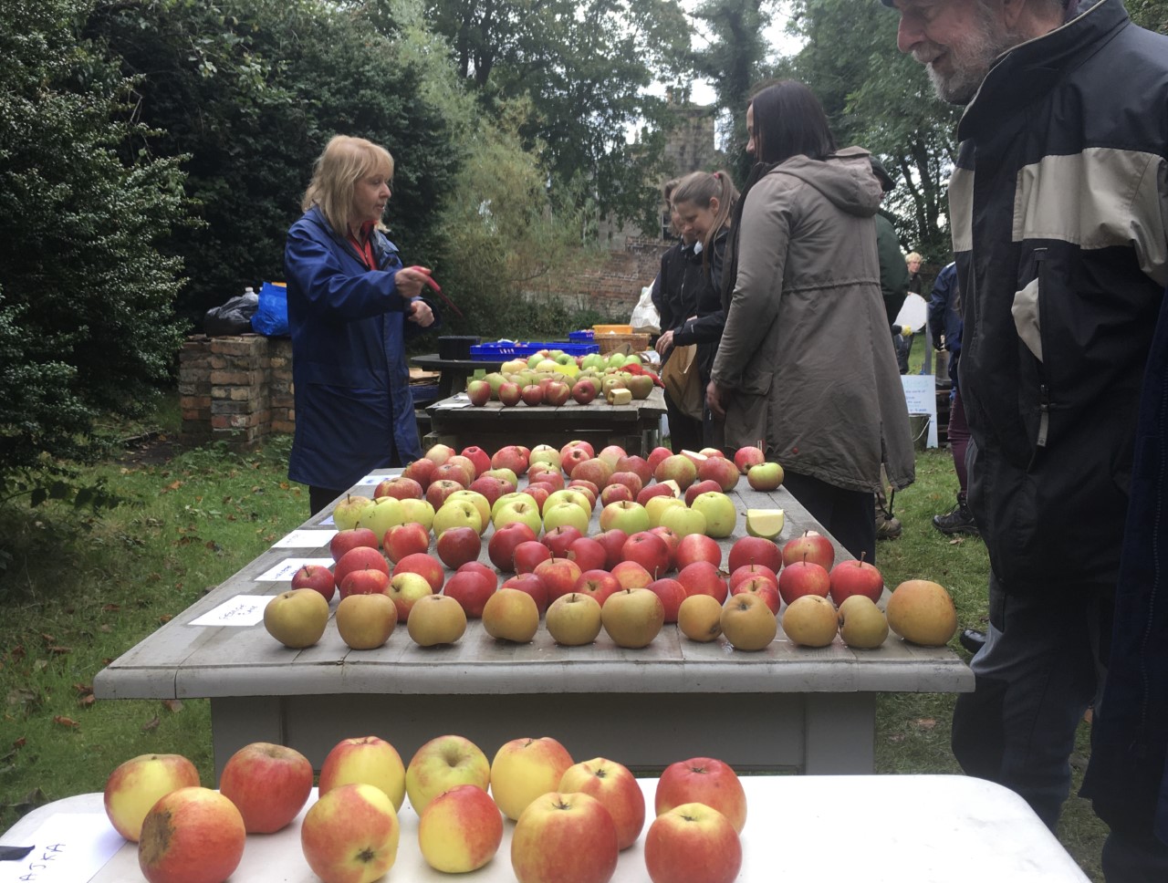 A photograph of people standing outside around three tables. On the tables there are dozens of apples lying on each table. 