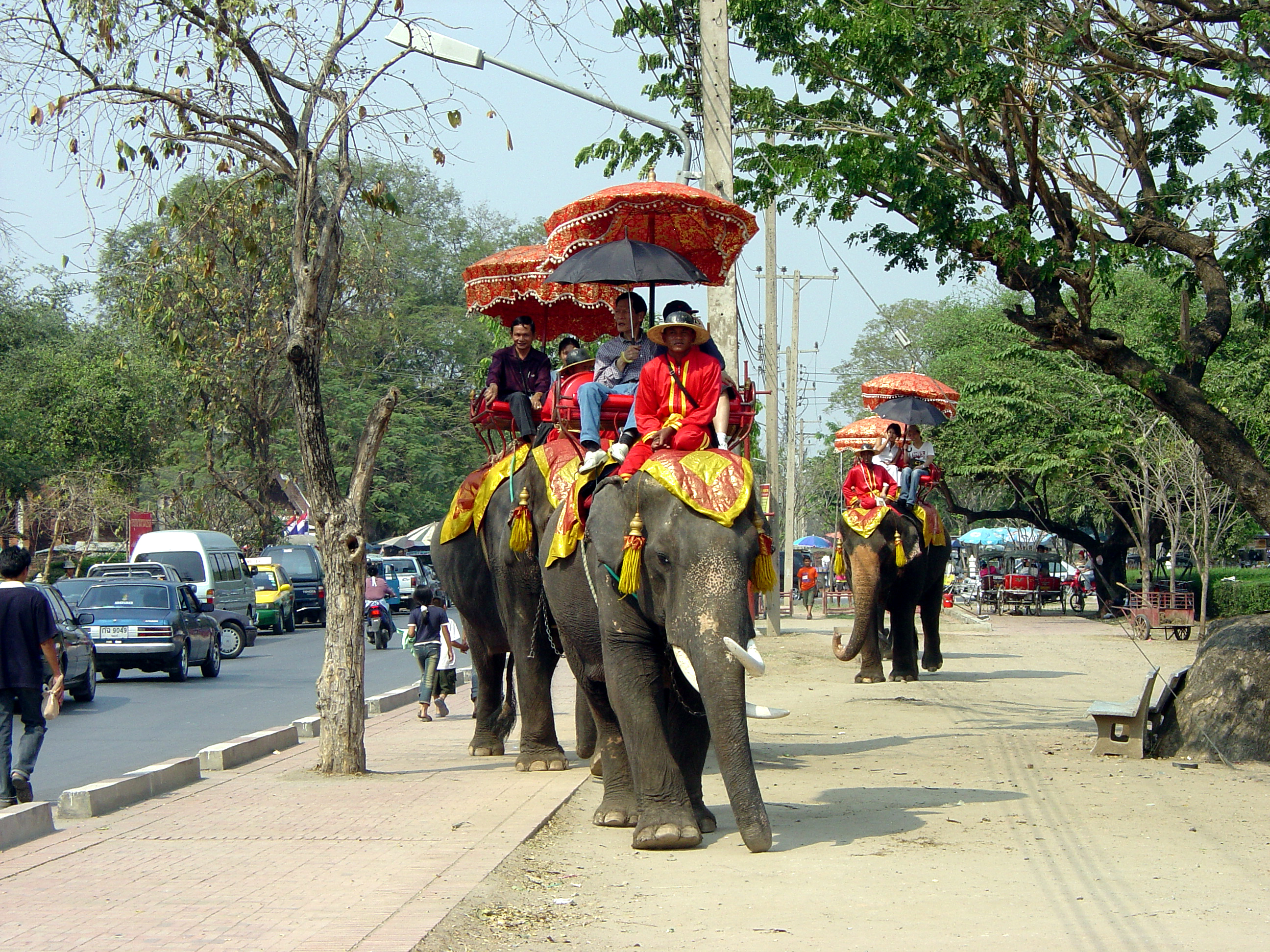 Photograph of people riding on elephants by the roadside. The elephants have red and gold blankets and coverings on them.