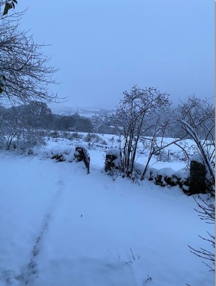 A photograph of a garden gate in the snow