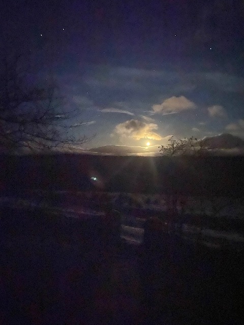 photograph of a garden gate at night, with the moon behind clouds in the background