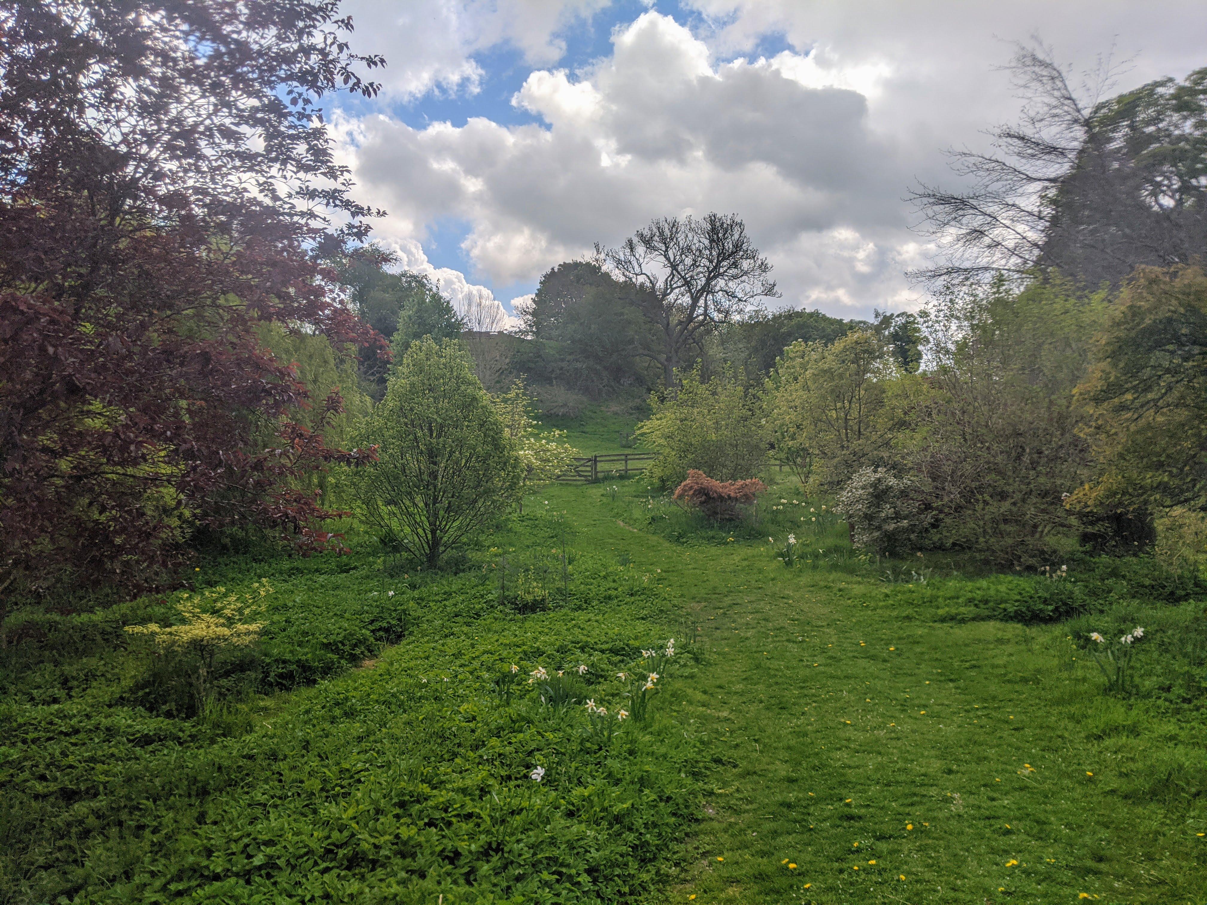 Photograph of Hill from Moreham Church. In the foreground is grass with trees surrounding it, half way up the photograph is a wooden fence and gate. Beyond the fence is more grass.