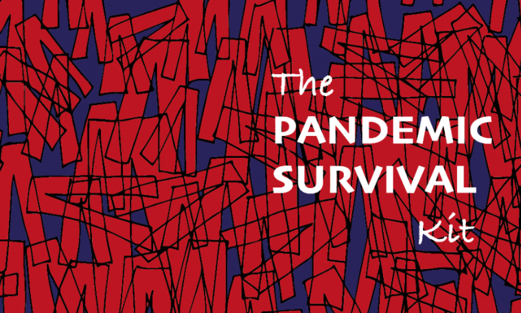 abstract red and blue box pattern with the words \"pandemic survival kit\" written on top