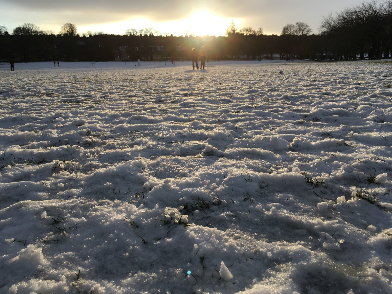 Photograph of snow in the Meadows, in the background are trees and the sun setting in the distance. 