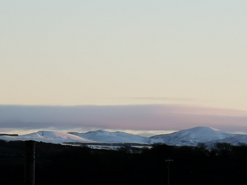 Photograph of trees and in the distance hills with snow on them. Over head is a clear sky. 