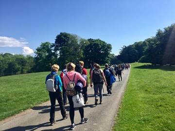 Photograph of a group of people walking along a path, past trees in the sunshine. 