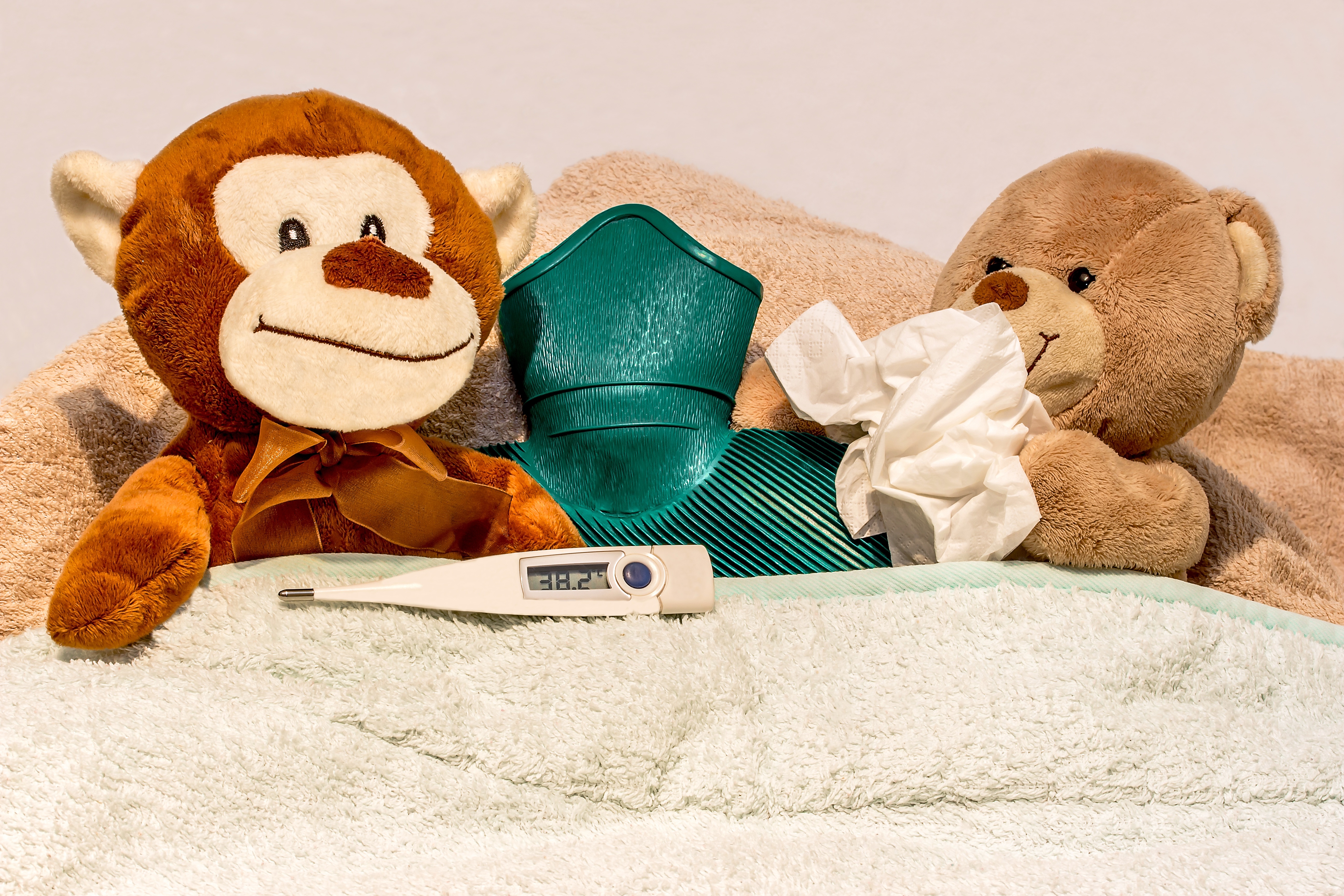 Photograph of a toy monkey and a toy teddy bear in a bed, the teddies are surrounded by blankets, a hot water bottle, tissues and a themometer. 