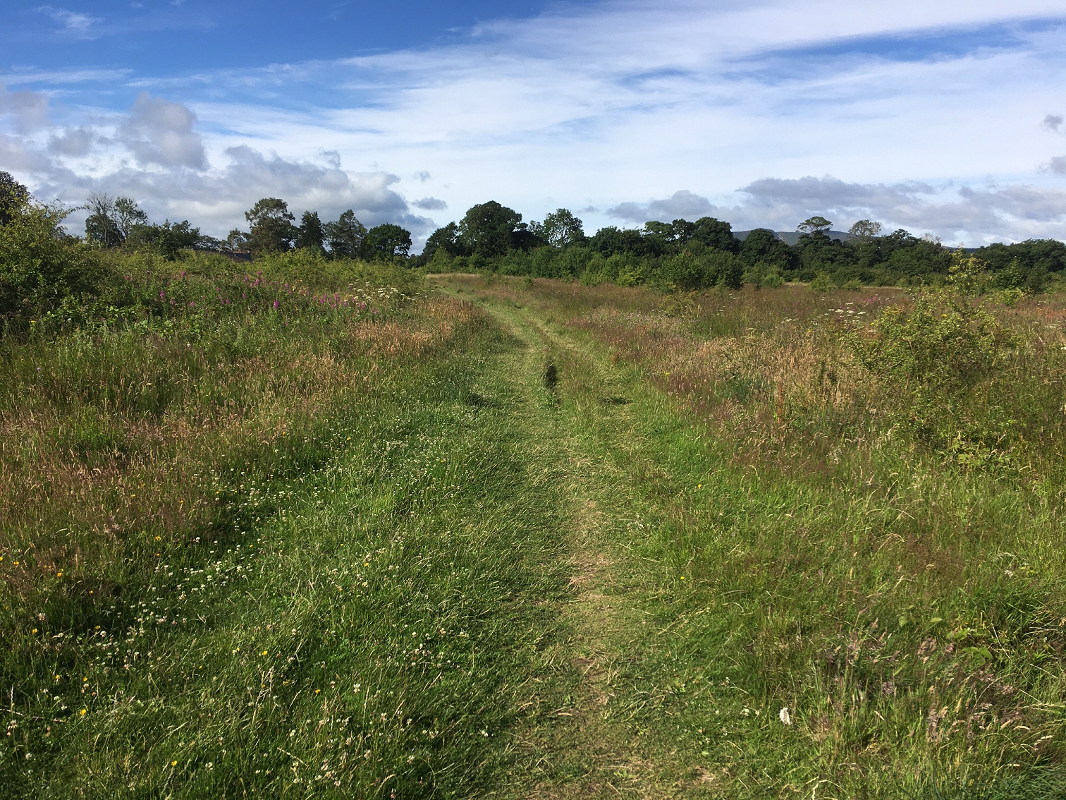 Photograph of a field with a path through the centre. In the background there a green trees and beyond there are hills in the distance. 