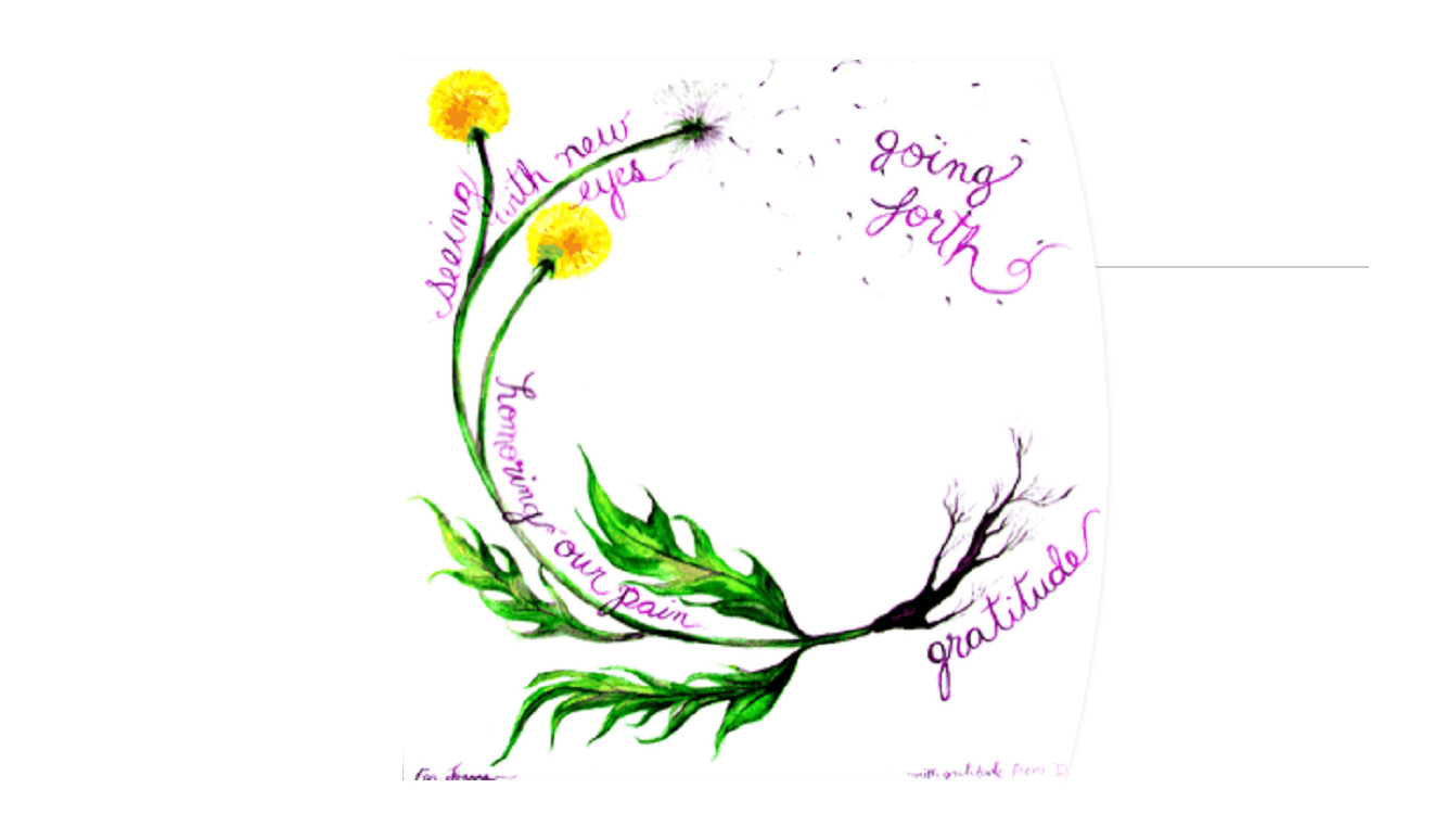 Drawing of dandelions with roots on a white background with the text: Going forth. Seeing with new eyes. Honouring our pain. Gratitude.