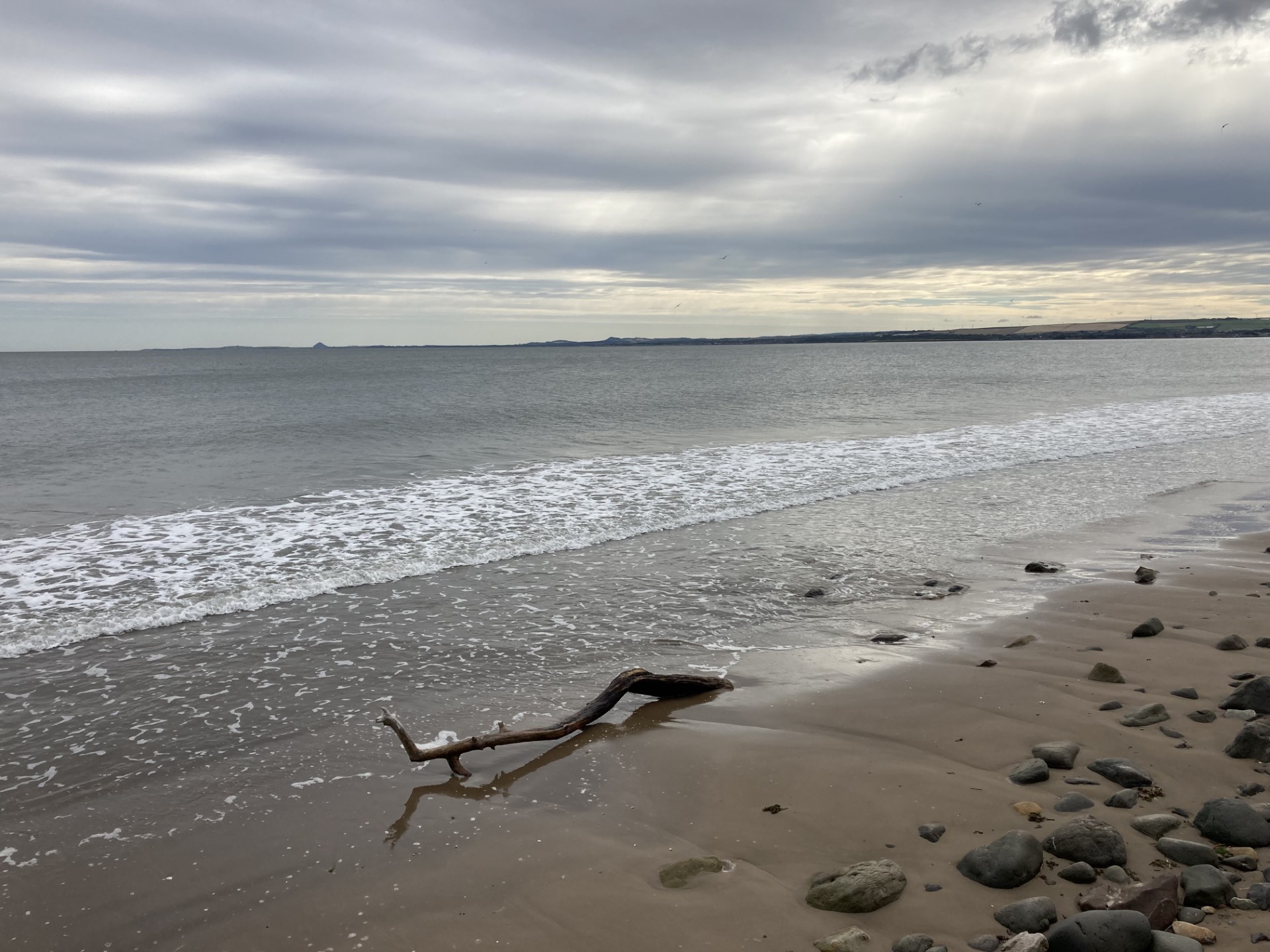 a Scottish beach with a bit of large driftwood in the sand