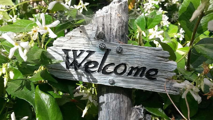 A wooden sign with the text Welcome carved into it - the sign is surround my green plants